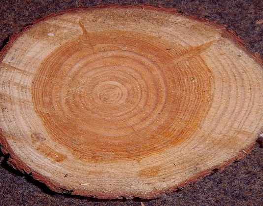 Creare un ciondolo in legno 1565 0 Creare un ciondolo in legno